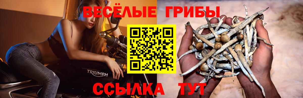 Псилоцибиновые грибы мухоморы  Псилоцибиновые грибы Cubensis  Вход с VPN  Можайск 
